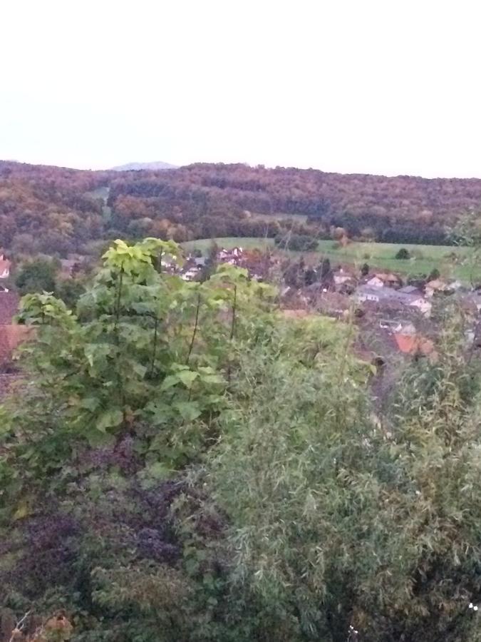 Mona'S Sleep & Go Bed and Breakfast Buren  Exteriör bild