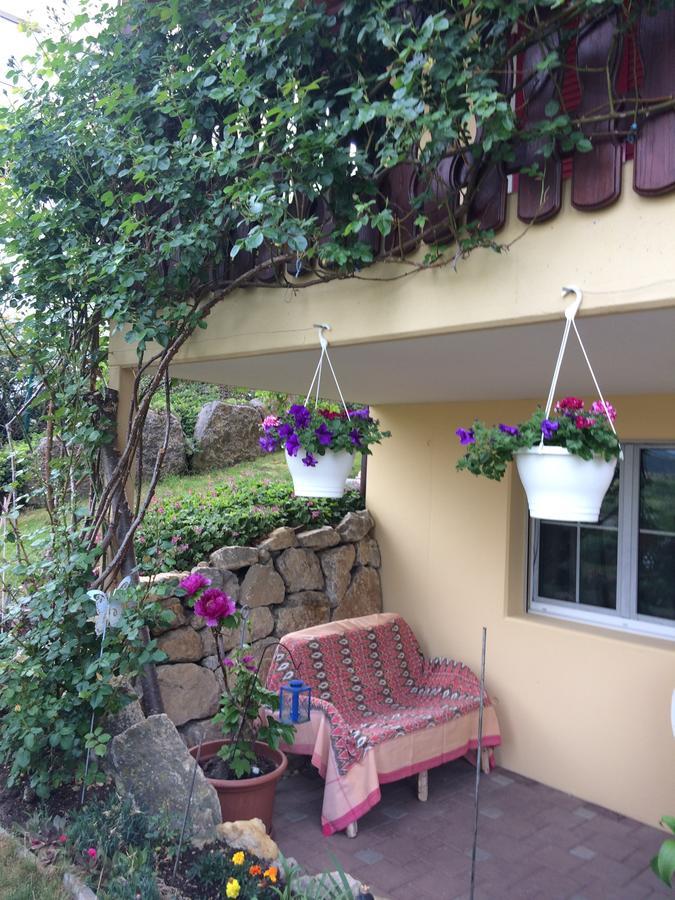 Mona'S Sleep & Go Bed and Breakfast Buren  Exteriör bild