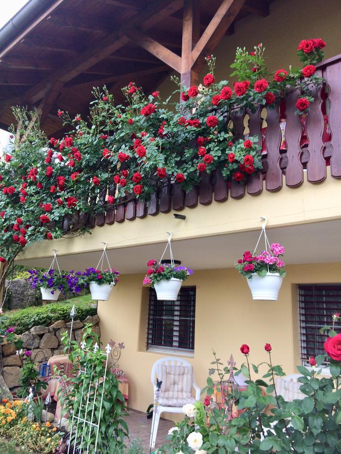 Mona'S Sleep & Go Bed and Breakfast Buren  Exteriör bild