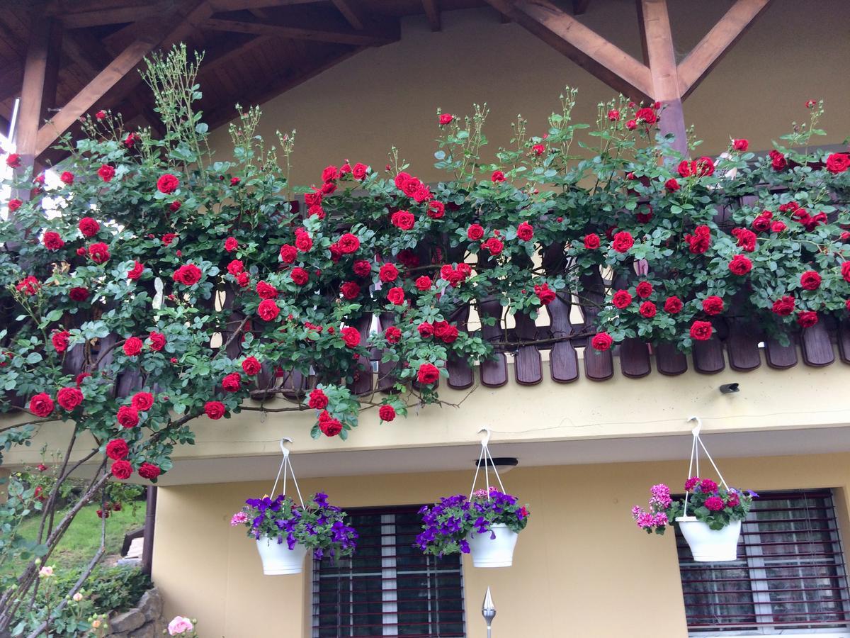 Mona'S Sleep & Go Bed and Breakfast Buren  Exteriör bild